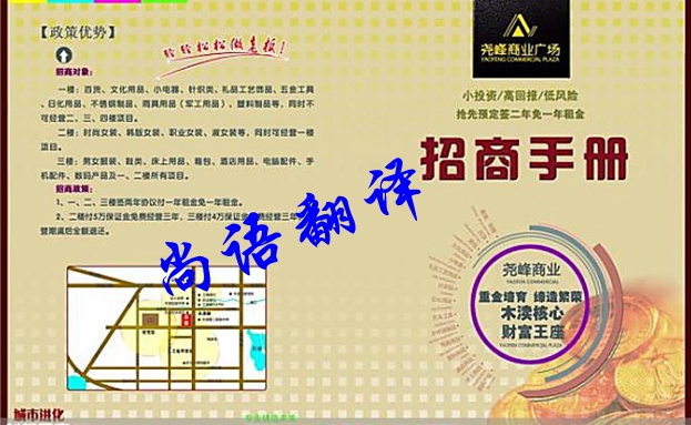 招商手册翻译